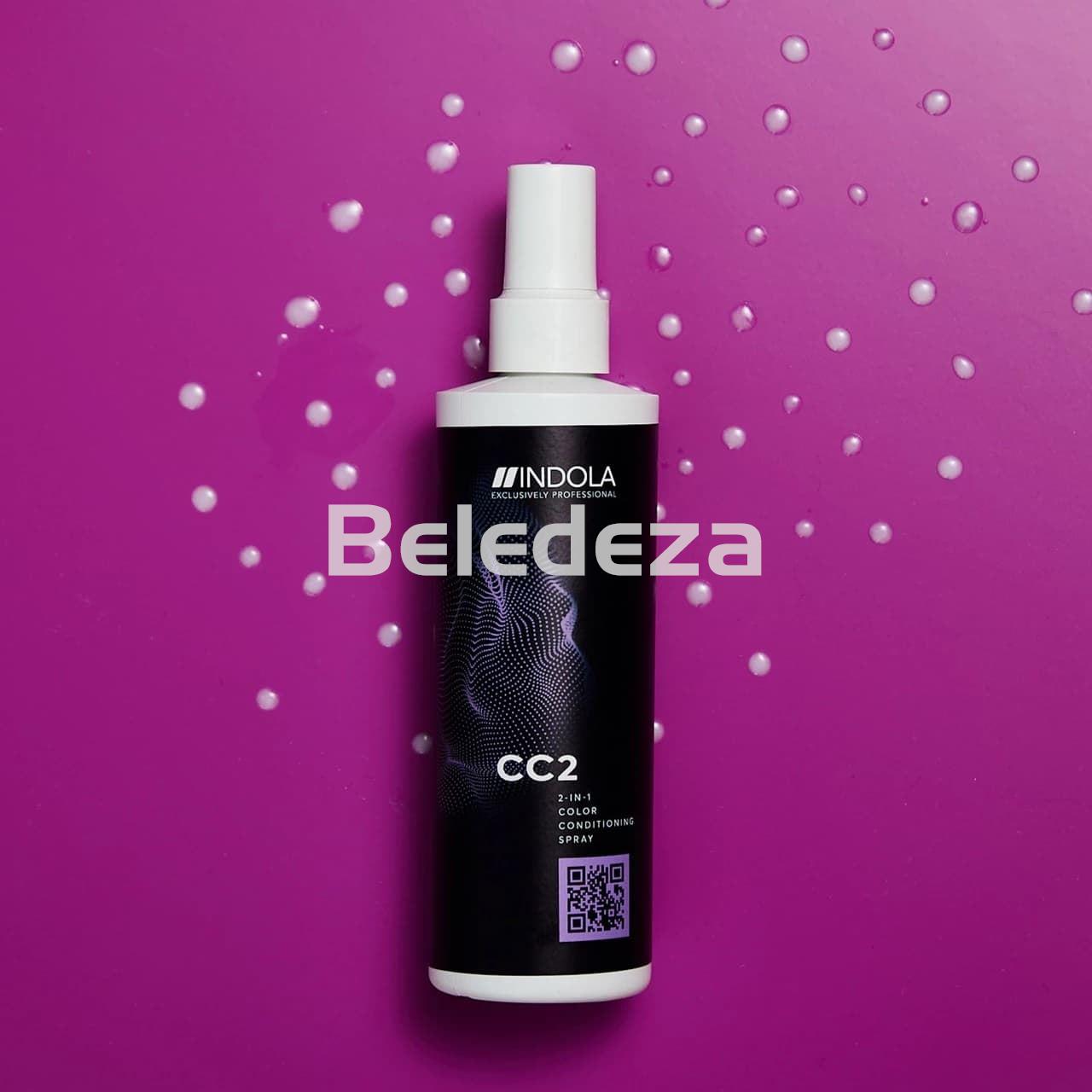 CC2 2 IN 1 COLOR CONDITIONING SPRAY Spray de Color Acondicionador 2 en 1 - Imagen 1