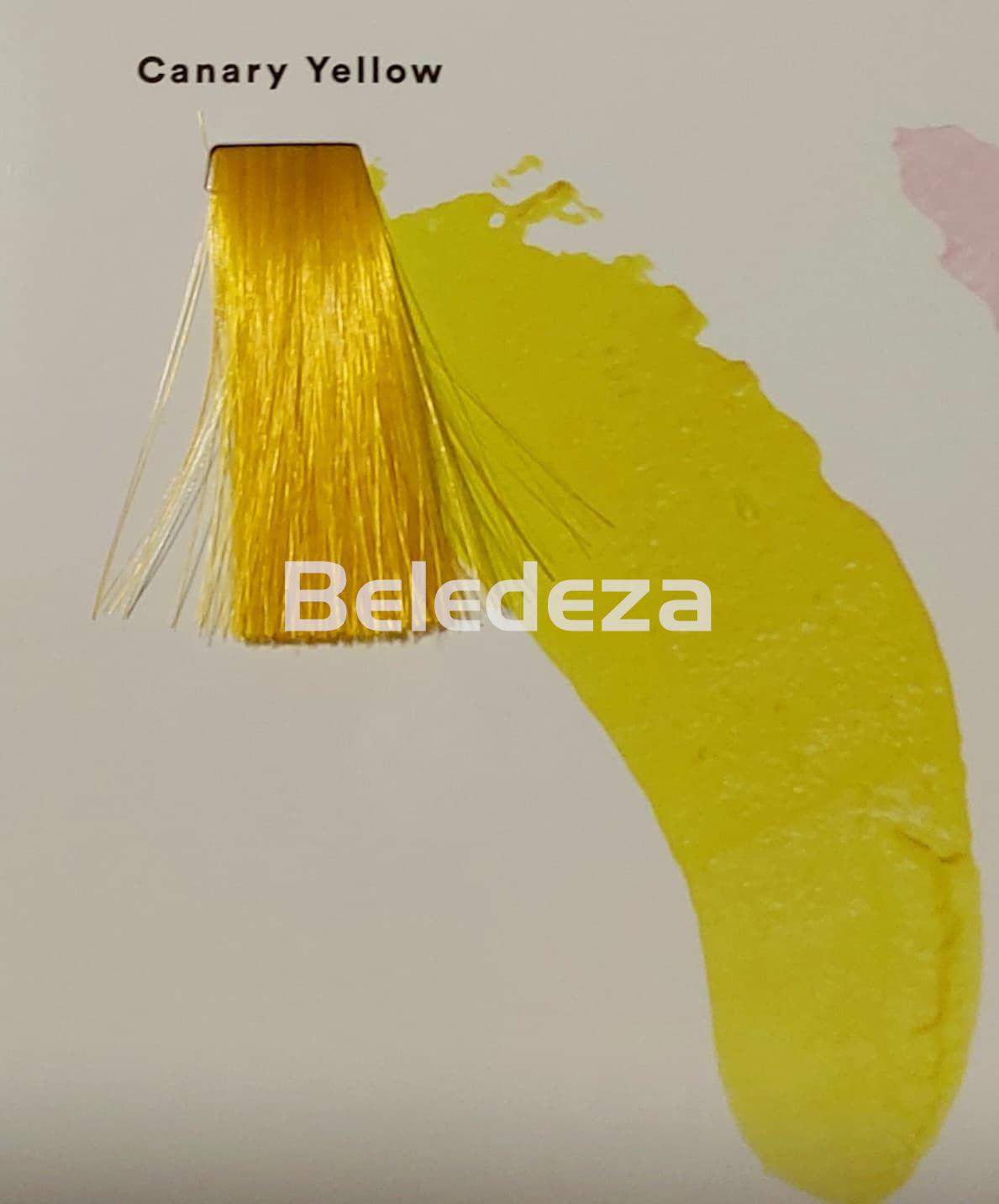 CREA-BOLD DIRECT DYES CANARY YELLOW Pigmento Directo Semipermanente Amarillo Canario - Imagen 1