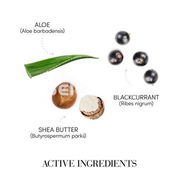 DAILY - RESTORATIVE HANDS & NAILS CREAM Crema Restauradora Para Manos y Uñas  MEDAVITA - Imagen 2