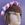 DIADEMA/CORONA AJUSTABLE DE FLORES - Imagen 1