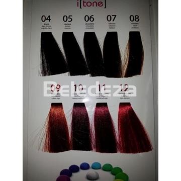 I[TONE] COLORAZIONE DIRETTA 09 ROSSO RAME Coloración Directa 09 Pigmento Puro Cobre Rojo Itone - Imagen 2