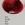 REVLONISSIMO PURE COLORS 600 Rojo - Imagen 1