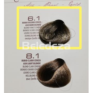 VIOLETT PREMIUM Coloración sin Amoniaco 6.1 Rubio Oscuro Ceniza - Imagen 1